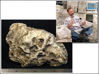 Photo: A Geologist Asks for Rocks, Gets Thousands: People from around the world have answered a televised plea to send in their rocks