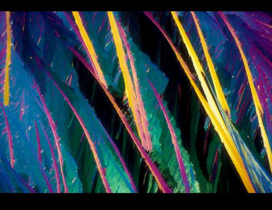 Science Turns Cocktails Into Works of Art