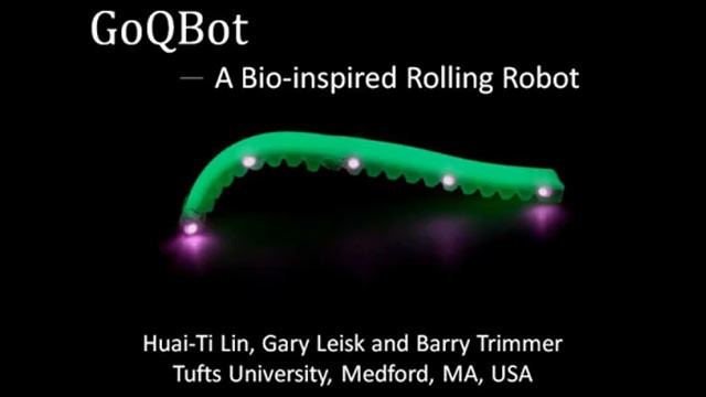 PHOTO: This video grab provided by iop.org showcases robots that mimic how caterpillars ballistically fire and roll themselves away from predators.