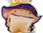 Sea Slugs