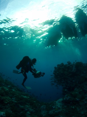 Expedition Great White: Tracking the World's Largest Predatory Fish
