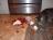 Sh*t My Pets Ruined
