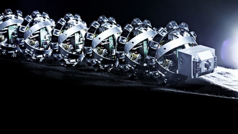 PHOTO: Snake robot