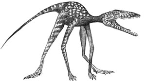 Photo: Oldest Dinosaur Ever Found; Footprints Discovered in Poland: Four-Legged Dinosaur Lived 250 Million Years Ago, Just After Earlier Reptiles Wiped Out
