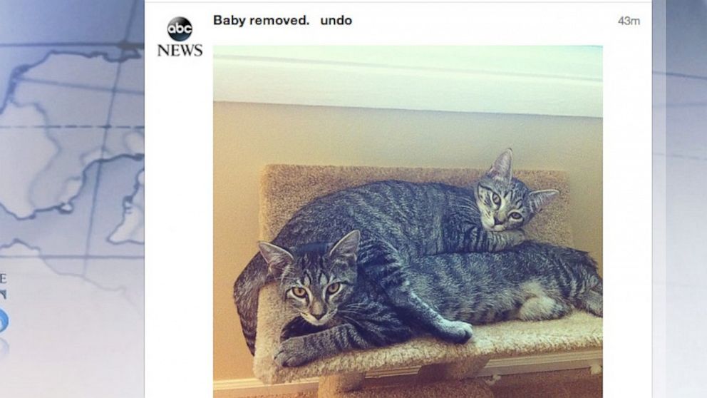 PHOTO: Using UnBaby.me you can block photos and updates about the "Royal Baby" on Twitter and Facebook.