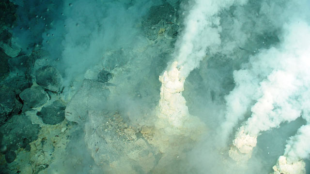 PHOTO: White smokers at Champagne vent site, NW Eifuku volcano. The chimneys are 8 in across and 20 in high, venting fluids at 217ºF.