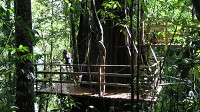 Treehouse Community? Grab a Zipline
Welcome to the world's first energy-efficient treehouse community.