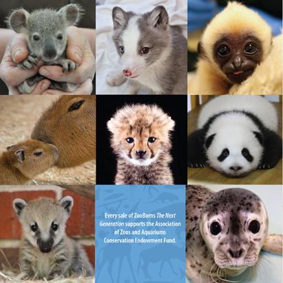 Adorable Baby Animals