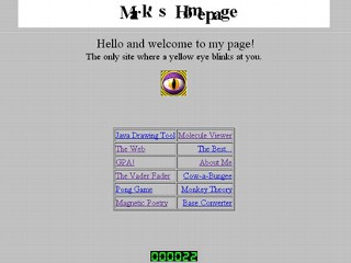 Pre-Facebook: Zuckerberg's Possible Teen Website