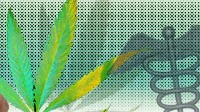 New medicinal marijuana iphone app