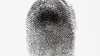 fingerprint
