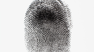 fingerprint