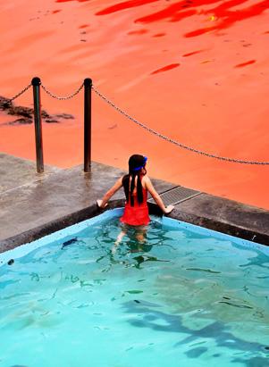 Red Tide Closes Australian Beach 