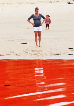 Red Tide Closes Australian Beach 