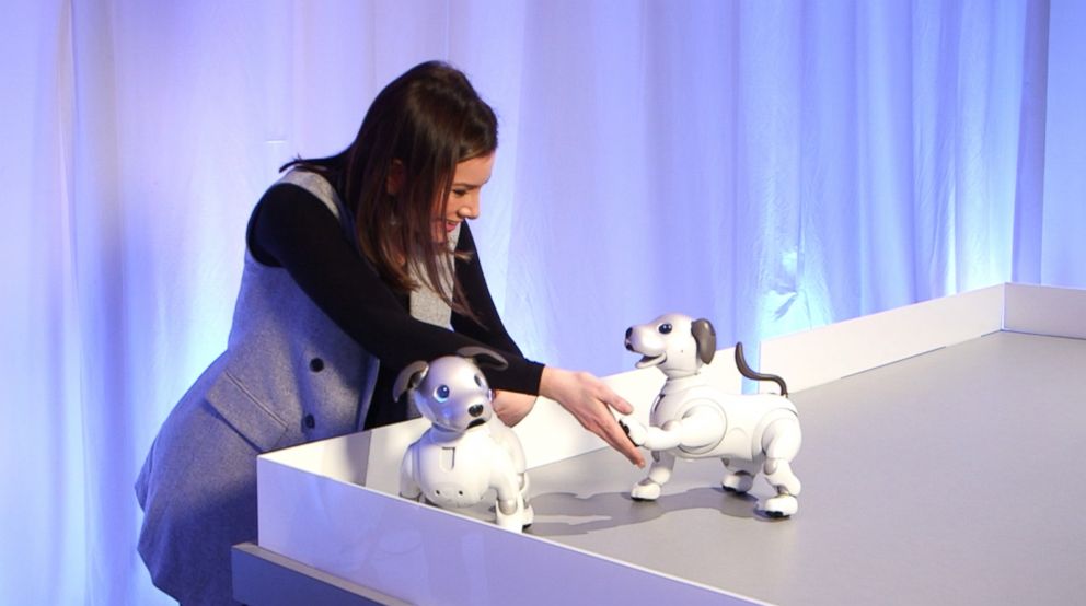 PHOTO: Sony unveiled Monday the new aibo autonomous entertainment robot dog.