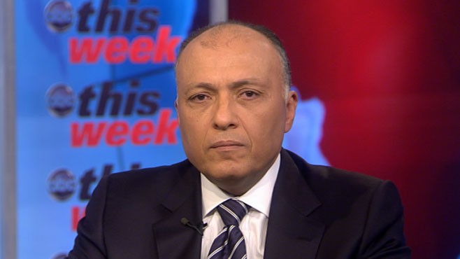 VIDEO: Egypt's Vice President Omar Suleiman on 'This Week'