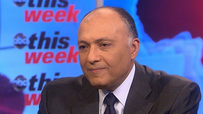 VIDEO: Ambassador Shoukry on This Week