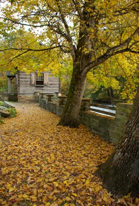 Readers Submit Their Fall Foliage Photos