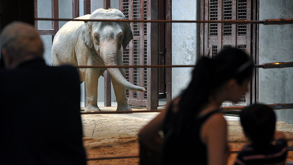 PHOTO: National Zoo