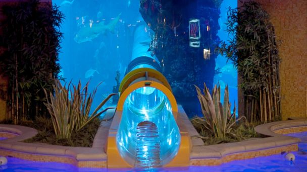 ocean resort casino fish tank