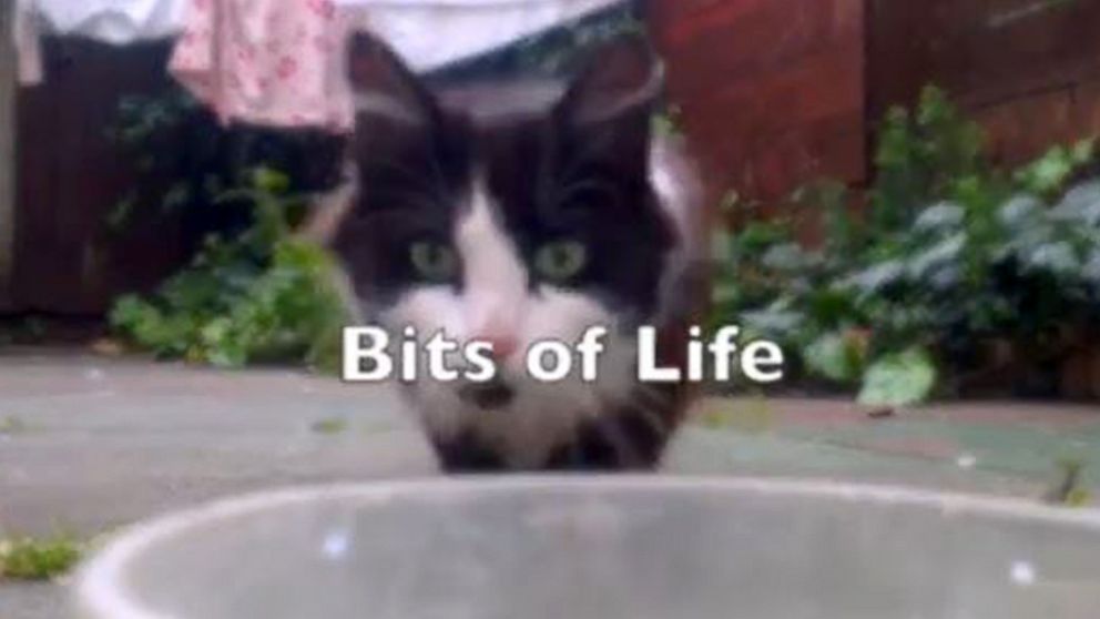PHOTO: Michal Mikolaj Wojtuniks film captures 10 months of travel in one-second glimpses.