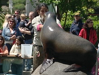 VIDEO: Get your family up close and personal with the animals.