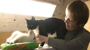St. Petersburgs Hermitage Museum Home to Masters...and Cats