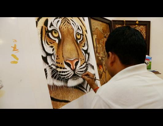 Can 'Tiger Tourism' Save India's Big Cats?