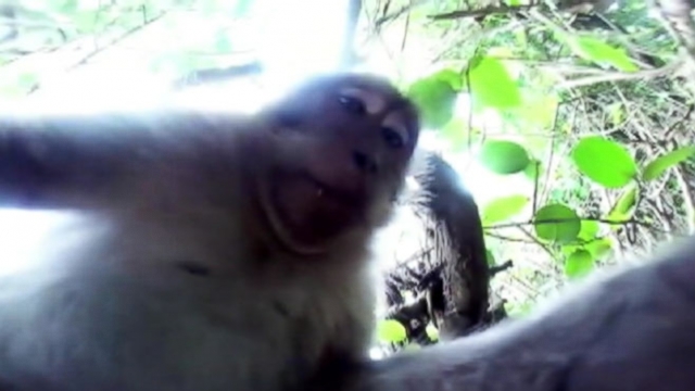 A tourist at a Balinese temple got his expensive camera stolen by a mischievous monkey.