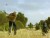 VIDEO: The world's longest golf gourse is in Australia's outback.