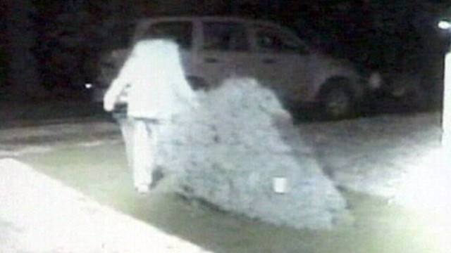 VIDEO: Surveillance footage shows a woman stealing trees from a Boy Scout lot.