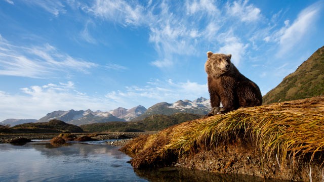 PHOTO: Here are some tips on what to see in Alaska.
