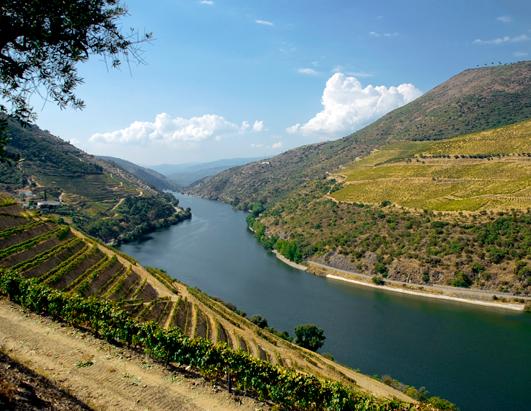 Top 10 Wine Travel Destinations of 2013 