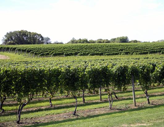 Top 10 Wine Travel Destinations of 2013 