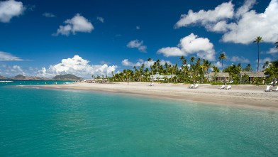 PHOTO: The Killer Bee originated on the Caribbean island of Nevis.