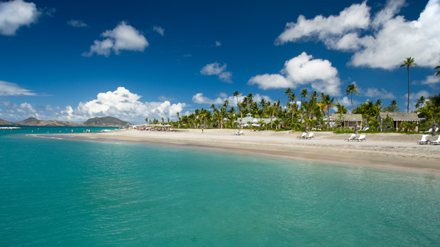 PHOTO: The Killer Bee originated on the Caribbean island of Nevis.