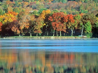 Cutting Costs on Leaf-Peeping Vacations