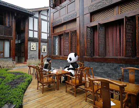 The Thief Hotel 