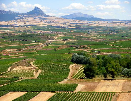 Top 10 Wine Travel Destinations of 2013 