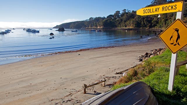 PHOTO: Stewart Island, New Zealand