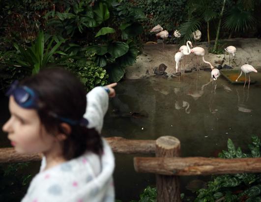 Tropical Islands Resort: Krausnick, Germany