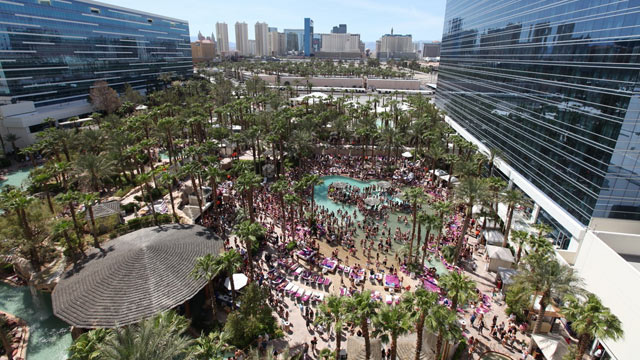 PHOTO: The Hard Rock Rehab pool is seen here.