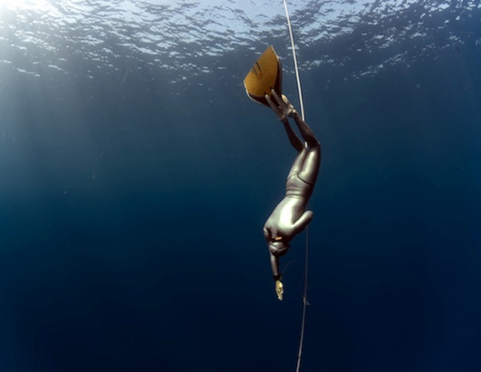 Free Diving