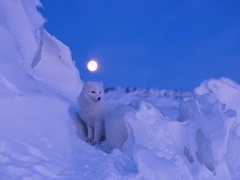 National Geographic Best Travel Photos 2013