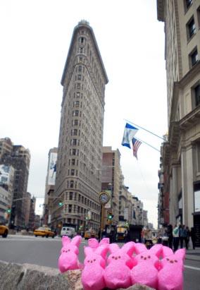 Peeps in Places