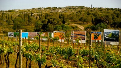 PHOTO: "Art de Vivre" in the Languedoc