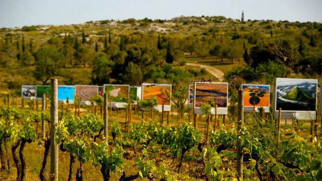 PHOTO: "Art de Vivre" in the Languedoc