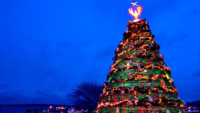 PHOTO: Another unique tradition, the lobster trap Christmas tree isn't something you're likely to spot outside a few New England fishing villages.