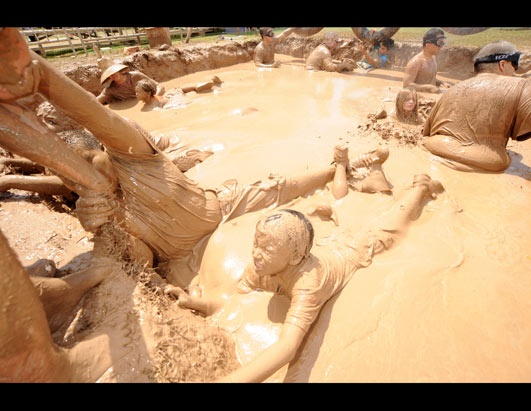 Incredible World Festivals