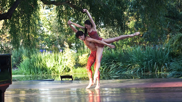 PHOTO: Napa Valley with more arts every year.